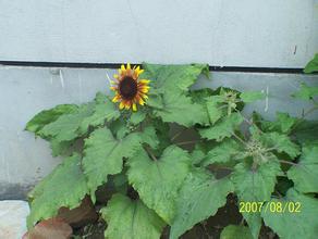 ��ͨ�˿����Ƽ�����Ƶ��ɽ�������и�۸��������ע��400���ܼ۳�6��...